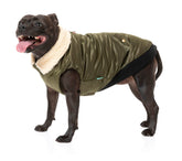 The Zoomie Jacket - Olive - SPECIAL OFFER!